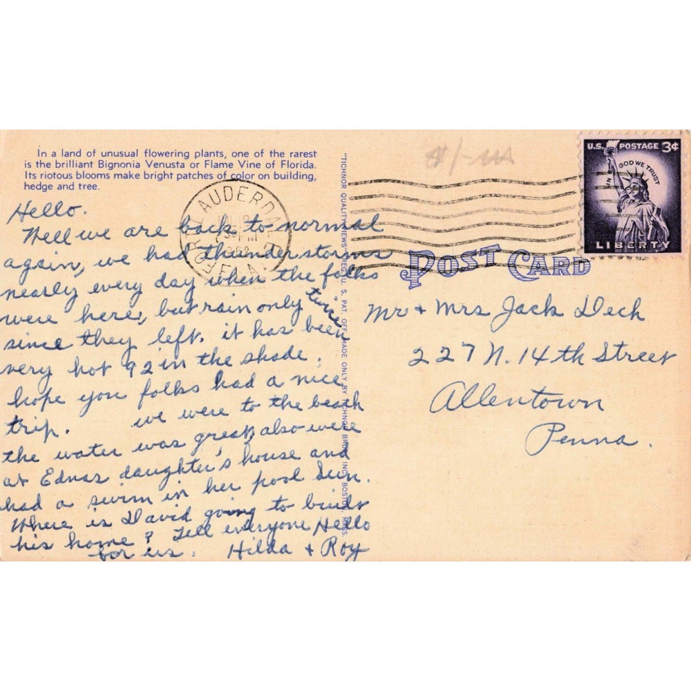 Vintage Flame Vine Bignonia Venusta Florida Linen Postcard Tichnor Quality Views - Picture 2 of 2